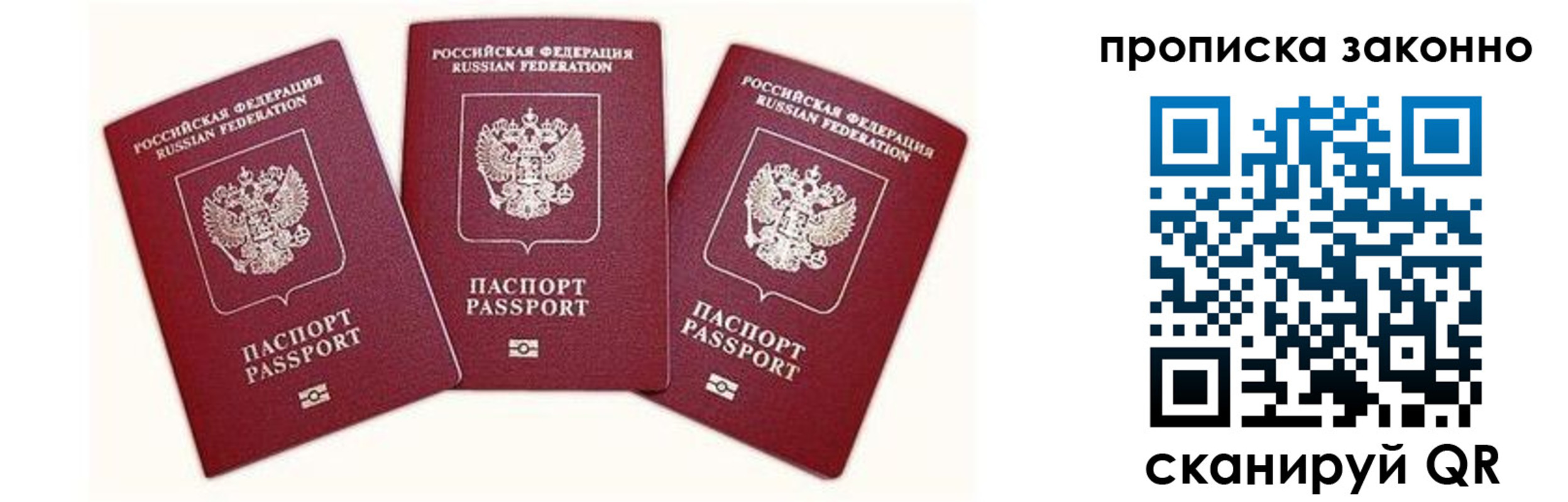 прописка законно в Химках